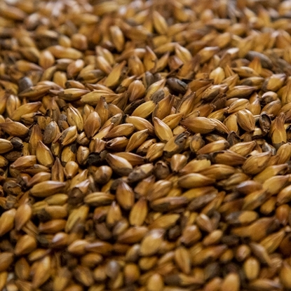 MALTS AND GRAIN - DINGEMANS-SPECIAL B (CRYSTAL 120L)