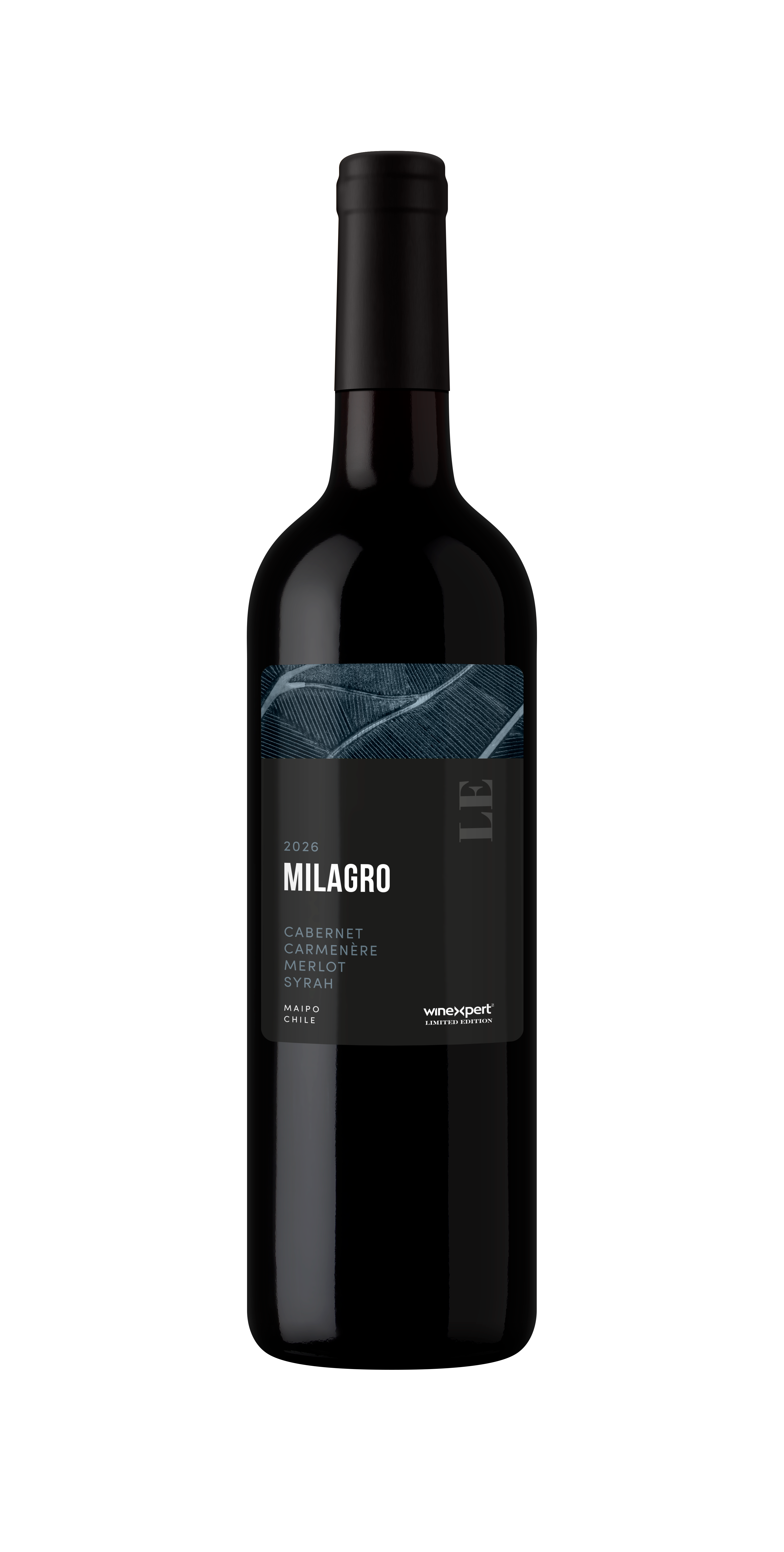 MILAGRO (MAIPO, CHILE)